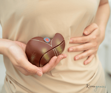 Why Your Liver Holds the Key to Hormone Harmony