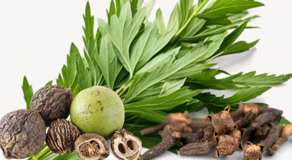 Wormwood, Black Walnut Hull & Cloves